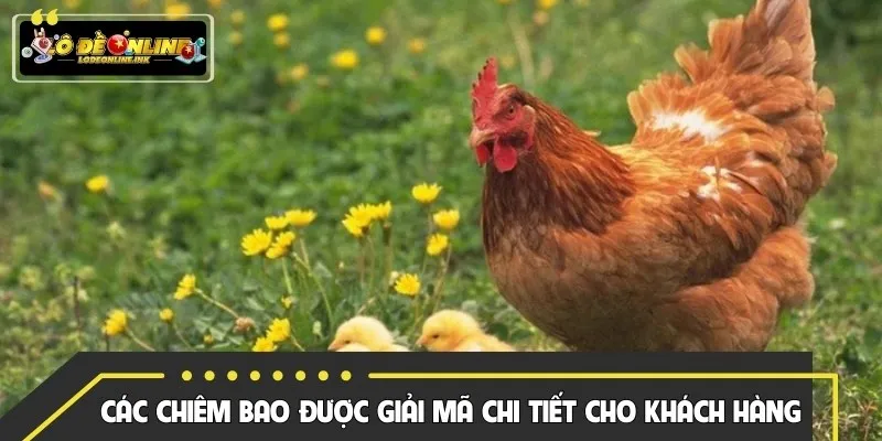 Các chiêm bao được giải mã chi tiết cho khách hàng