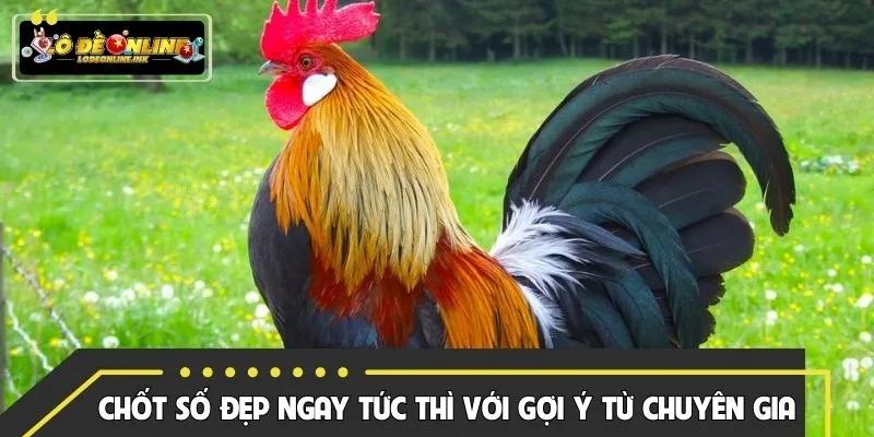Chốt số đẹp ngay tức thì với gợi ý từ chuyên gia