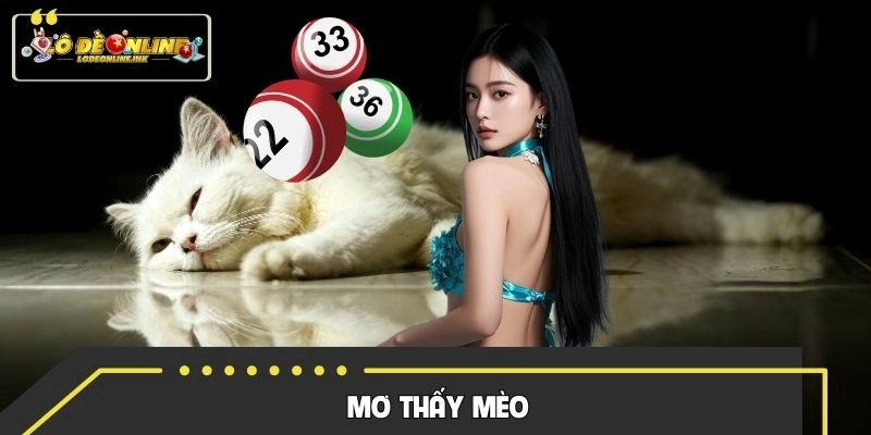 Mơ Thấy Mèo - Giải Mã Những Điềm Báo May Mắn Cho Hội Viên