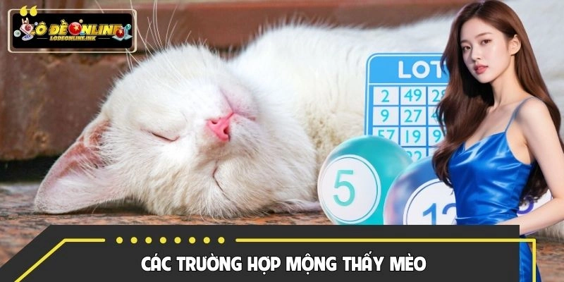 Những trường hợp chiêm bao thấy mèo về số đề