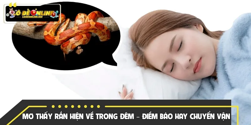 Mơ Thấy Rắn Hiện Về Trong Đêm – Điềm Báo Hay Chuyển Vận