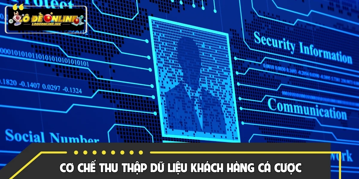 Cơ chế thu thập dữ liệu khách hàng cá cược