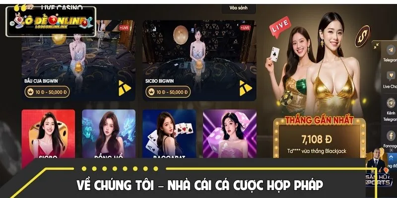 Đôi nét về chúng tôi